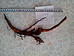 IMG 20140321 172736