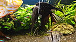 DSC01720