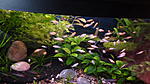 DSC01738