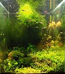 DSCF0520