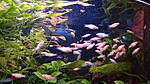DSC01737