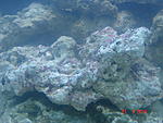 DSC08000