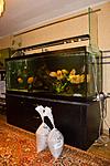 20140305 IMG 4123