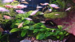 DSC01739