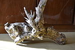 DSC0460