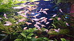 DSC01736