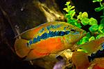 20140312 IMG 4171