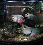 ����������