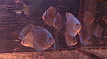 DSC01690
