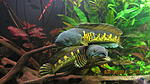 IMG 9055[1]