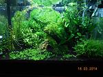 DSCN0910