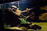 20140312 IMG 4188
