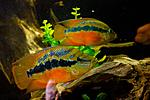 20140312 IMG 4172