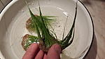 20140315 204008