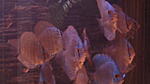 DSC01689