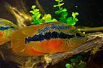 20140312 IMG 4169