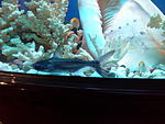 20131119 210443