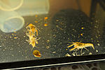 IMG 7730