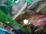 IMG 20140326 190330