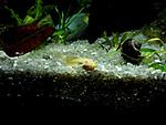 IMG 20140326 185944