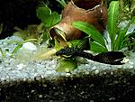IMG 20140326 190103