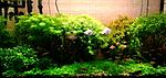 P 20140321 112555 NT~2