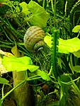 IMG 20140326 190042