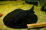 20140311 IMG 4145