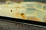 IMG 7731