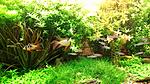 P 20140321 112610 NT