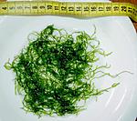 Java Moss