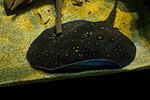 20140320 IMG 4209