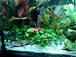 IMG 20140326 190130