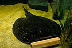 20140311 IMG 4144