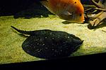 20140320 IMG 4222