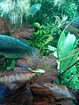 IMG 20140326 190310