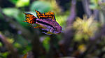DSC02204
