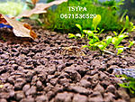 20140328 170050 HDR