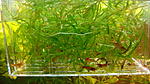 DSC03366