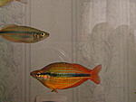 IMG 7070