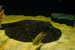 20140311 IMG 4139