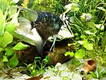 IMG 20140326 190404