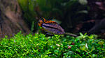 DSC02205