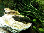 IMG 20140326 190005