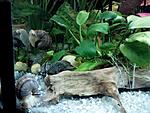 IMG 20140326 190120