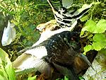 IMG 20140326 190203