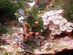 IMG 20140407 210025