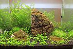 AGLASS  CLASSIC 24  
-ADA AMAZONIA 
 -ADA BACTER BALL 
-ADA BRIGHTY-K, ADA GREEN BRIGHTY STEP-1, ADA GREEN BACTER, ADA GREEN...