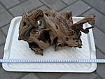 P4090407