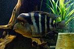 20140407 IMG 4292